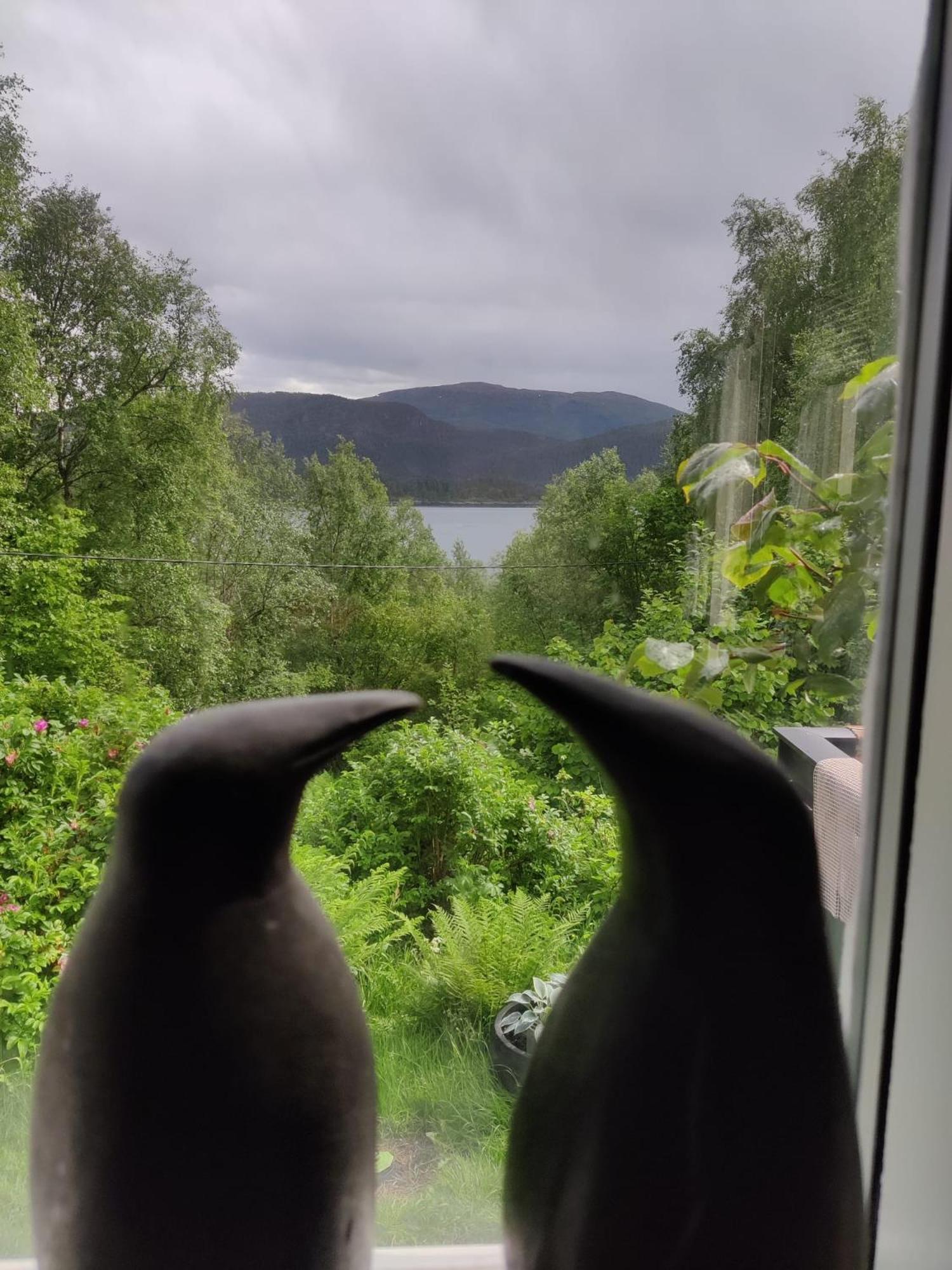 Villa Fjord Peace Skodje Exterior foto